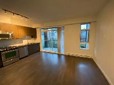 1 bedroom condo for rent Coquitlam close to SFU and skytrain - Photo 5