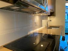 1 bedroom condo for rent Coquitlam close to SFU and skytrain - Photo 12