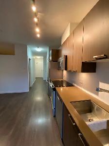 1 bedroom condo for rent Coquitlam close to SFU and skytrain - Photo 13