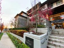 1 bedroom condo for rent Coquitlam close to SFU and skytrain - Photo 19