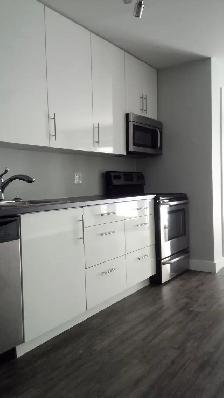 10 Cathedral Ln - 1BR Condo Uptown, Modern, Private Entrance - Photo 16