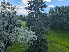 Beautiful Home In Park Like Setting - Spruce Grove, AB - Photo 8