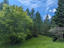Beautiful Home In Park Like Setting - Spruce Grove, AB - Photo 9