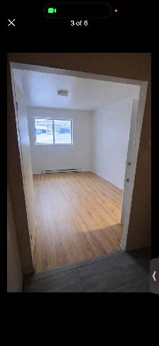 3 1/2  TRES GRAND ET LUMINEUX APPARTEMENT A LOUER