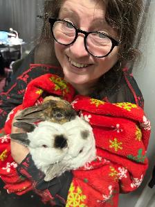 LAPINS A DONNER  FREE RABITS - Photo 2