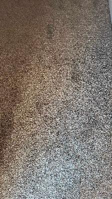 5x6 brand new rug to give away