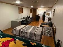 Bachelor Apt for Rent Near Newnham Campus Basement Seneca - Photo 4
