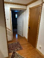Bachelor Apt for Rent Near Newnham Campus Basement Seneca - Photo 8