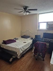 2 Rooms Available for Rent in an Apartment