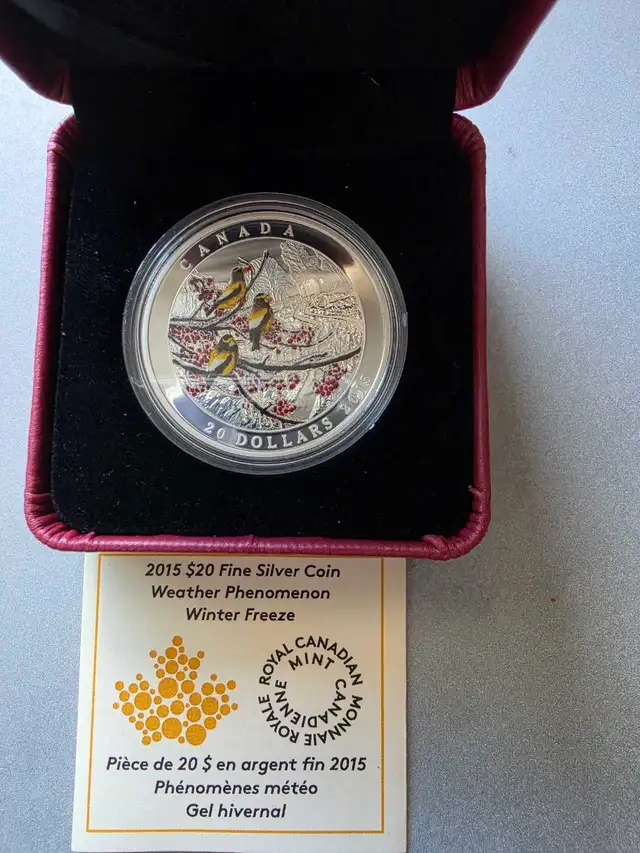 2015 $20 Weather Phenomenon Winter Freeze Fine Silver Proof coin