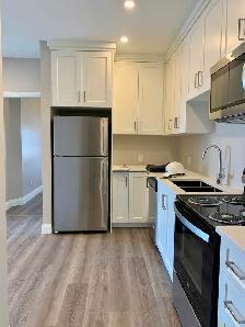 Bright 1 Bedroom   Den for Rent - Guelph - Aug 1, 2026 - Photo 3