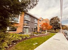 SUITE FOR RENT IN BEAUTIFUL RENOVATED BUILDING