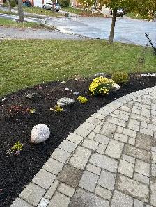 Landscape Maintenance - Photo 2