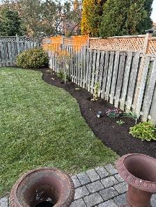 Landscape Maintenance - Photo 3