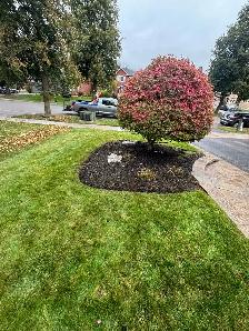 Landscape Maintenance - Photo 4