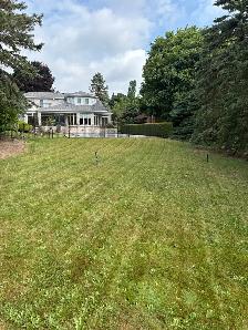 Landscape Maintenance - Photo 5