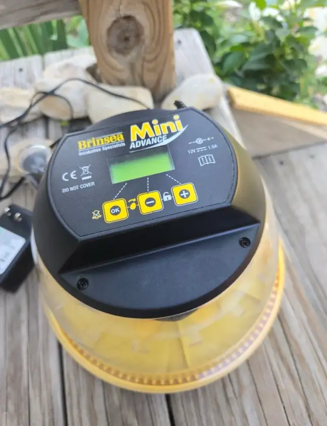 Brinsea Mini Advance Preowned Used With Adaptor Cord