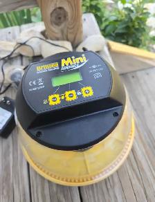 Brinsea Mini Advance Preowned Used With Adaptor Cord