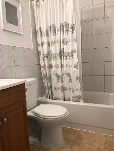 2 Bed unit for rent, all utilities included Spadina/College - Photo 6