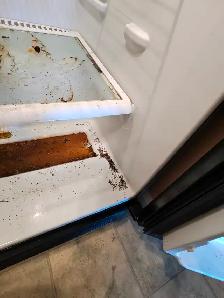 Professional Move-Out & Deep Cleaning - Photo 7