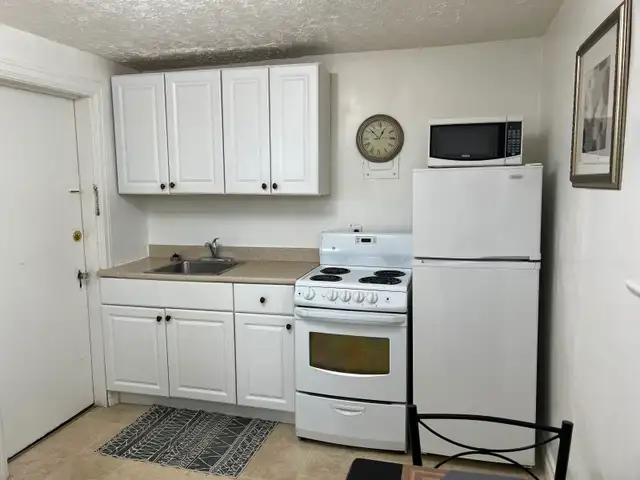 Bright Fully Furnished Bachelor Apt for Rent