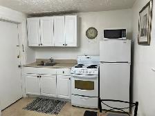 Bright Fully Furnished Bachelor Apt for Rent