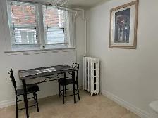 Bright Fully Furnished Bachelor Apt for Rent - Photo 3