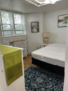 Bright Fully Furnished Bachelor Apt for Rent - Photo 7