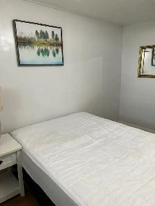 Bright Fully Furnished Bachelor Apt for Rent - Photo 8