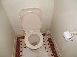will pay for poop pics