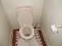 will pay for poop pics