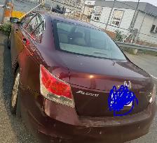 2010 honda accord for sale - Photo 3
