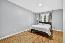 Detached Single Family House in Highly Desired Plateau For Sale - Photo 6