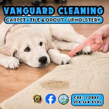 Carpet Rugs Tile Grout Upholstery Cleaning - Photo 8