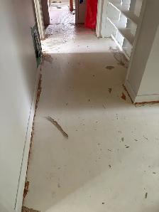 thinset floor grinding - Photo 3