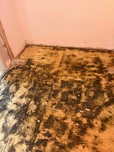 thinset floor grinding - Photo 7