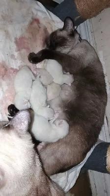 NEED TO FIND A HOME ASAP - Photo 7