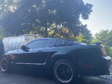 05 FORD MUSTANG V8