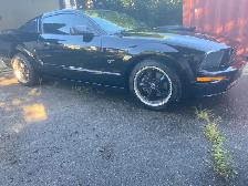 05 FORD MUSTANG V8 - Photo 3