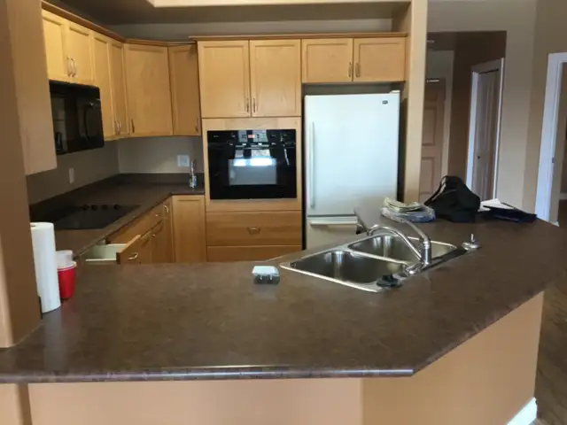 Kitchen cabinets
