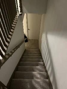 1 Bedroom for Rent - Yorkdale Area