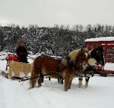 Must go together!! - Photo 10