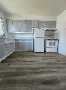 Newly renovated 2 bedrooms apt for rent in LaSalle available now - Photo 6
