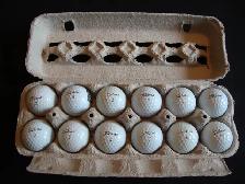 Titleist Pro V1 & 1X