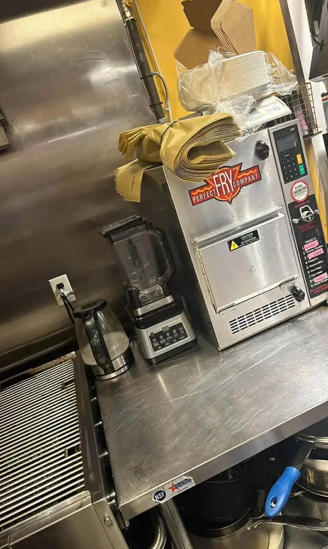 perfect fryer