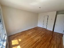 5 ½ — Nouveau-Rosemont - Occupation immédiate disponible. - Photo 3