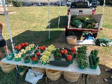Produce Stand Sellers - Photo 2