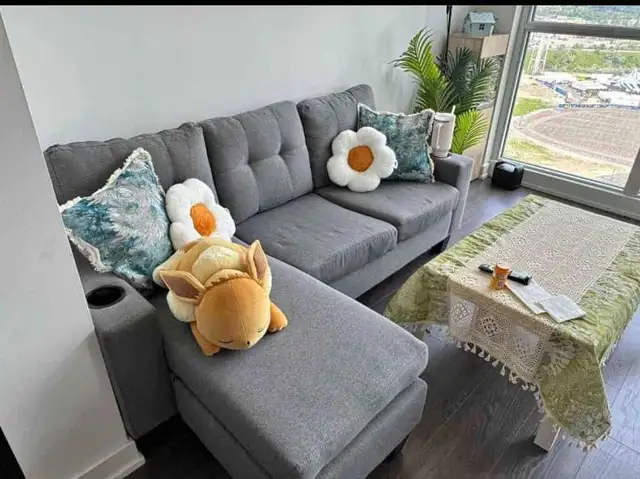New Wonderful 3 Seater Amazing Sofa-Free Delivery
