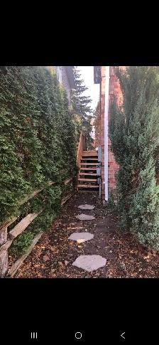 Bachelor Basement Apartment