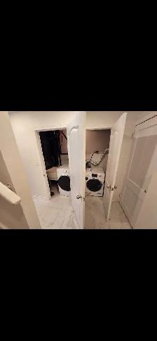 Bachelor Basement Apartment - Photo 4